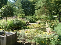 Lily Pond hidcote